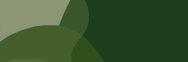 masbonit0's profile banner image