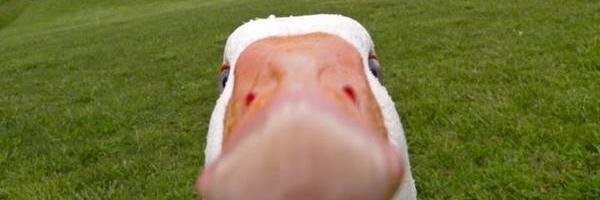 MichaelJennin16's profile banner image