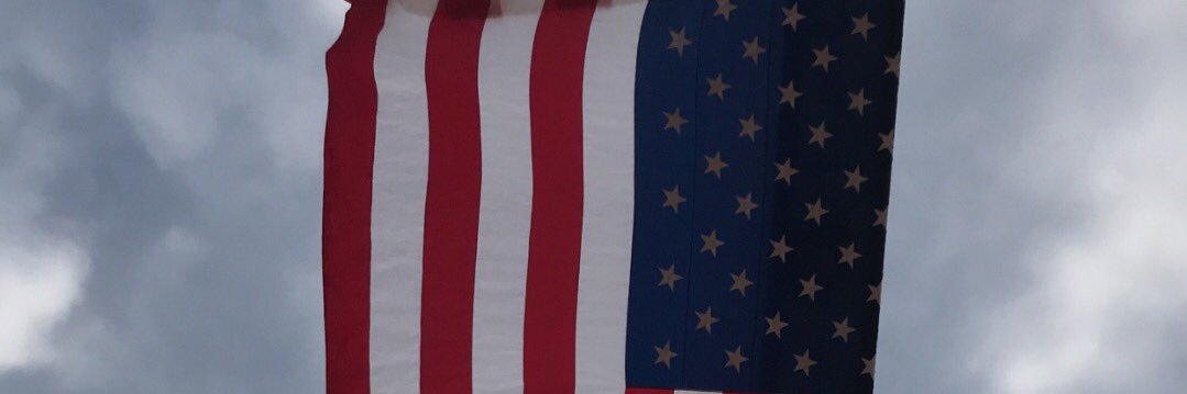 Dane banner