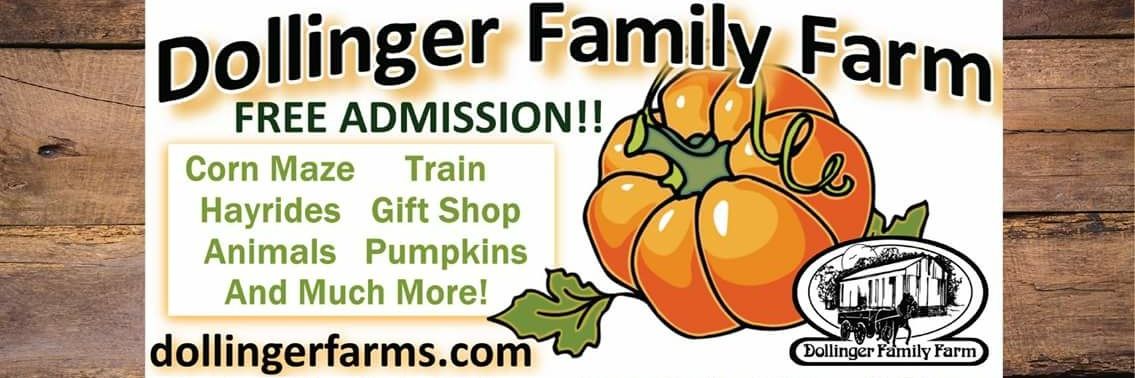 DollingerFarm's profile banner image