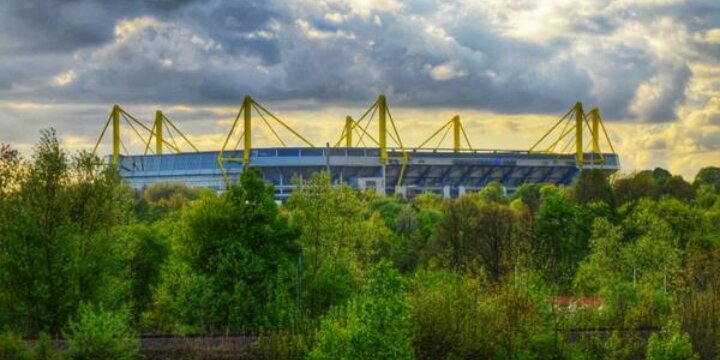 Ronny84May's profile banner image