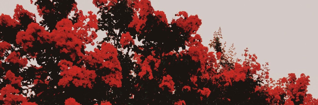 genzcousin's profile banner image