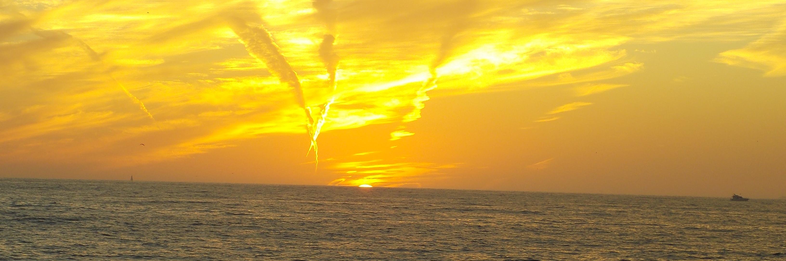CSemerdjian's profile banner image