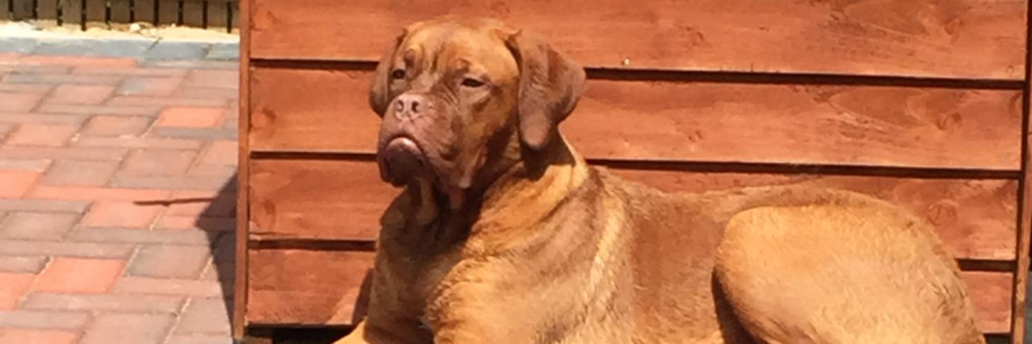 winston_long's profile banner image