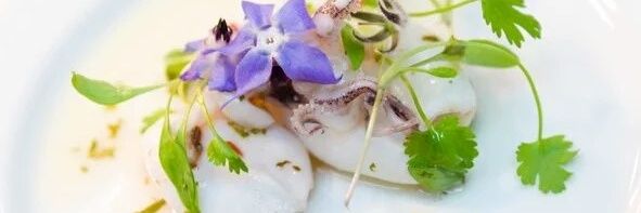 Gareth john Paget banner