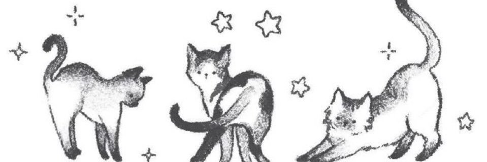 _mernz's profile banner image