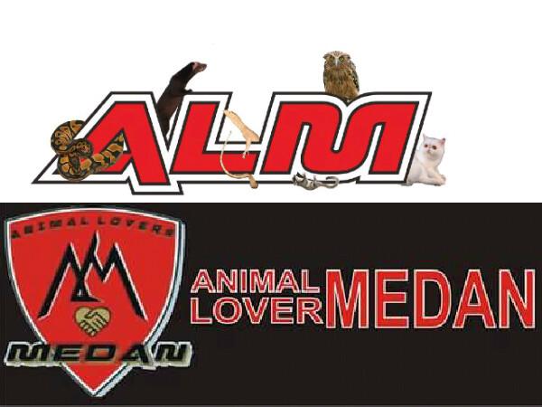 MedanAnimal's profile banner image