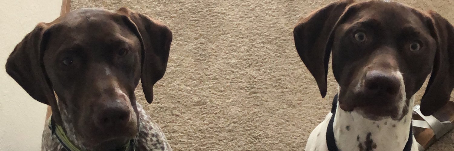 kylasofo's profile banner image