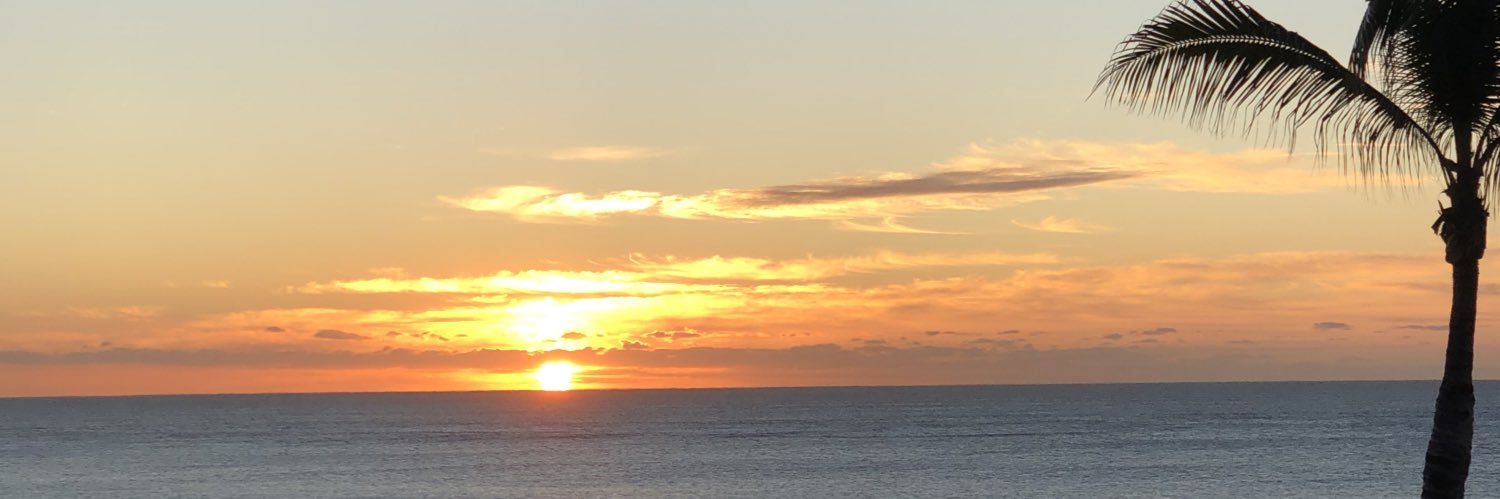 stephanie white (she/her/hers) banner