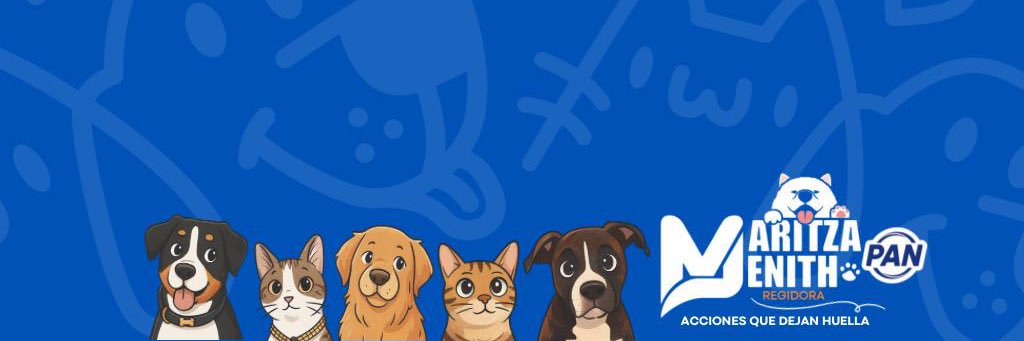 Maritza banner