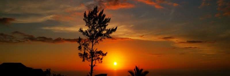 Original_G🏋‍♂️🇷🇪 banner