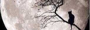 mony_hdz11's profile banner image