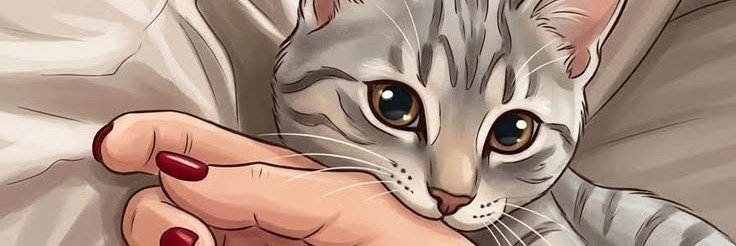 W_Elsheikh's profile banner image