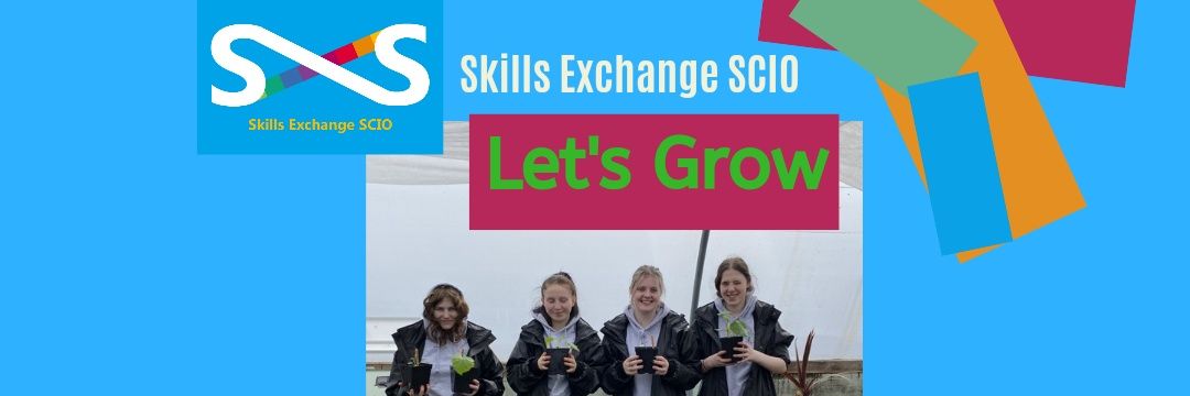 SES12EK's profile banner image