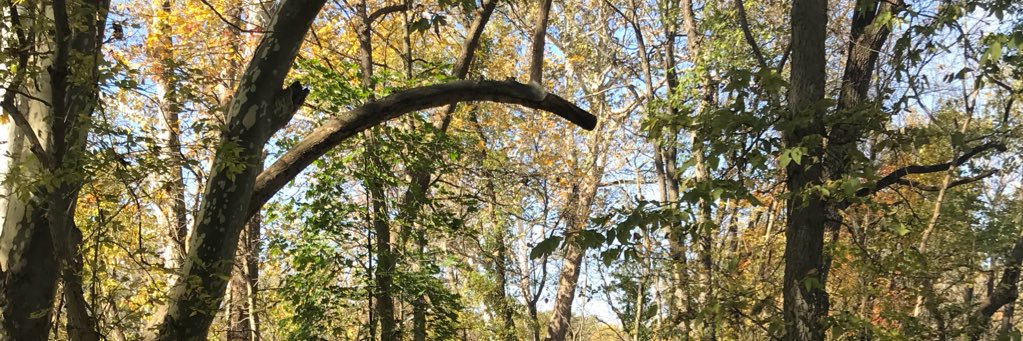 b2tucker's profile banner image
