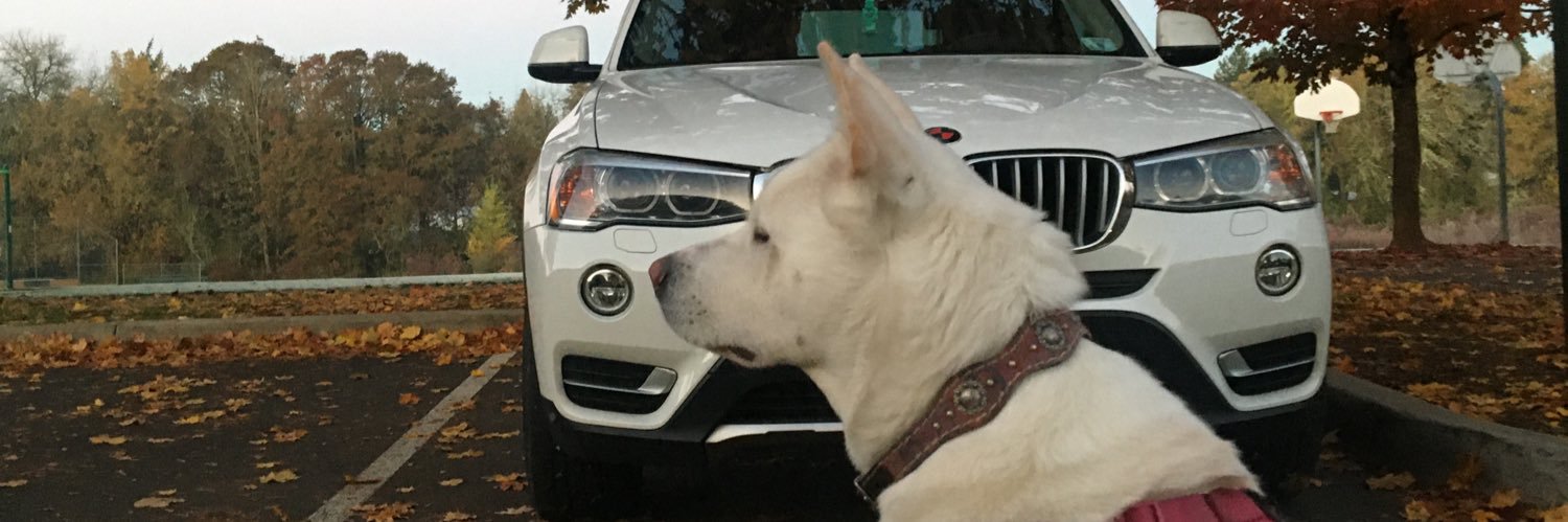 slayavic's profile banner image
