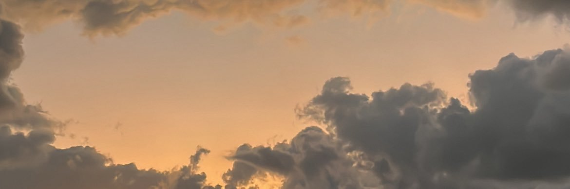 Manuherbel's profile banner image