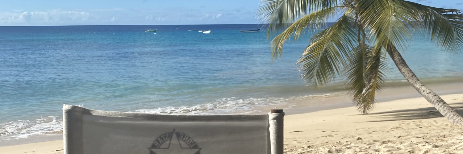 amelia calvin banner