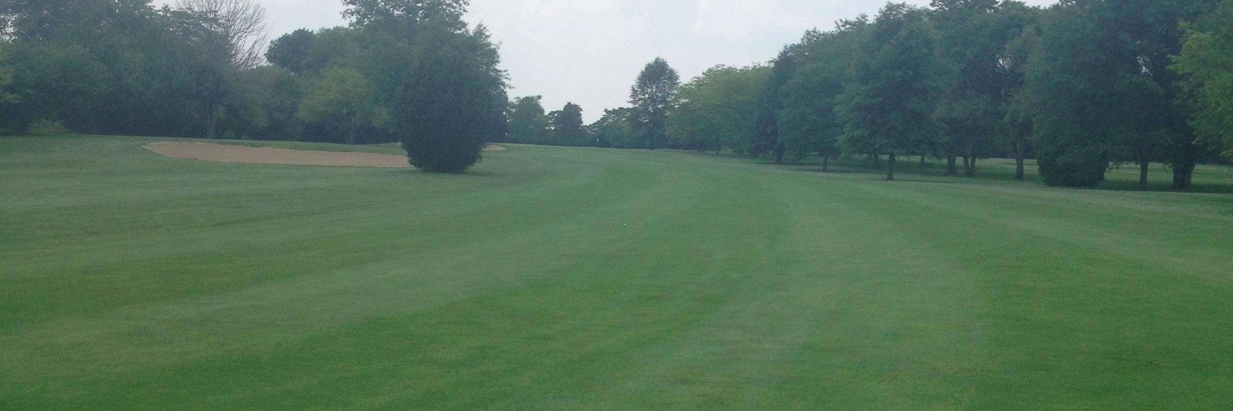 Alex Bachmann banner