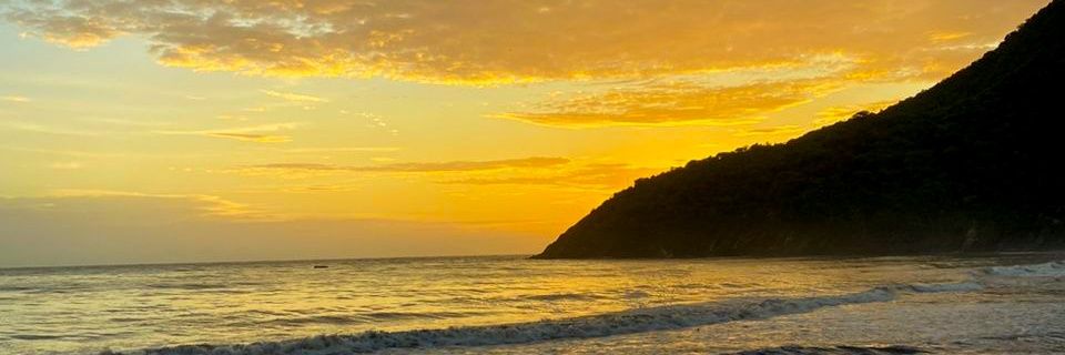 FranKhiev's profile banner image