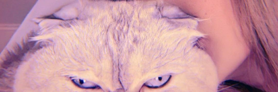 wwaanderson's profile banner image