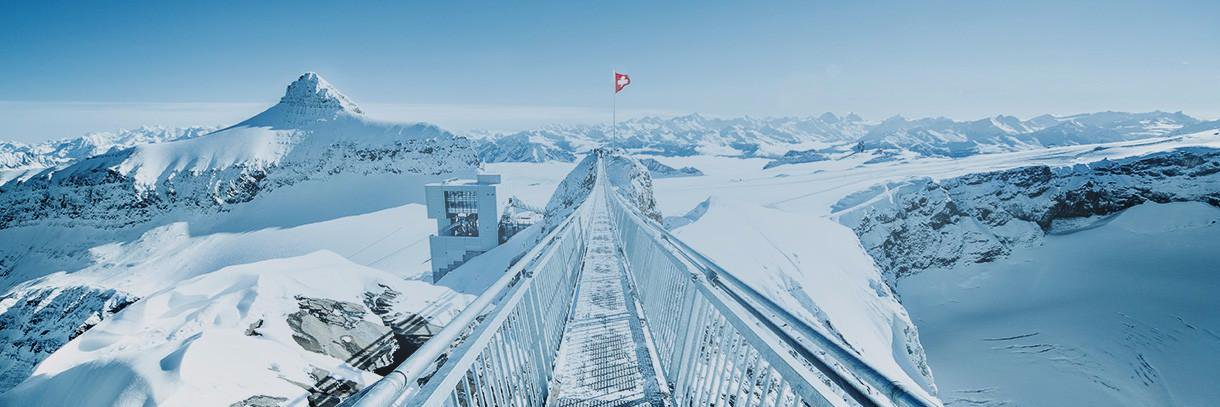 Andrii Petrunia banner