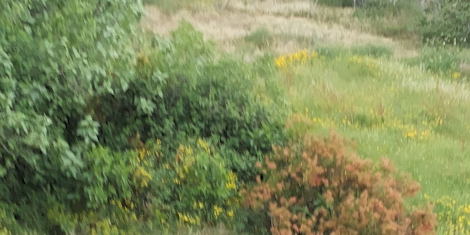 وجهة نظر banner