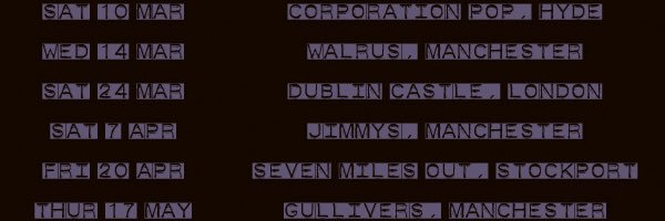 Purple Merlin banner