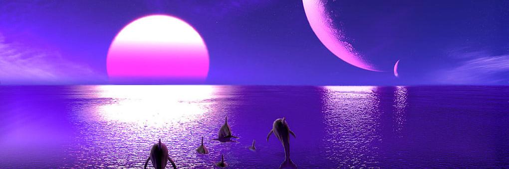 Katharina Daue banner