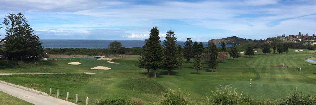 Dale Brandt-Richards banner