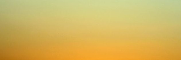 ananasmm's profile banner image