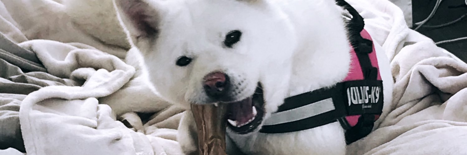 kellyverschave1's profile banner image