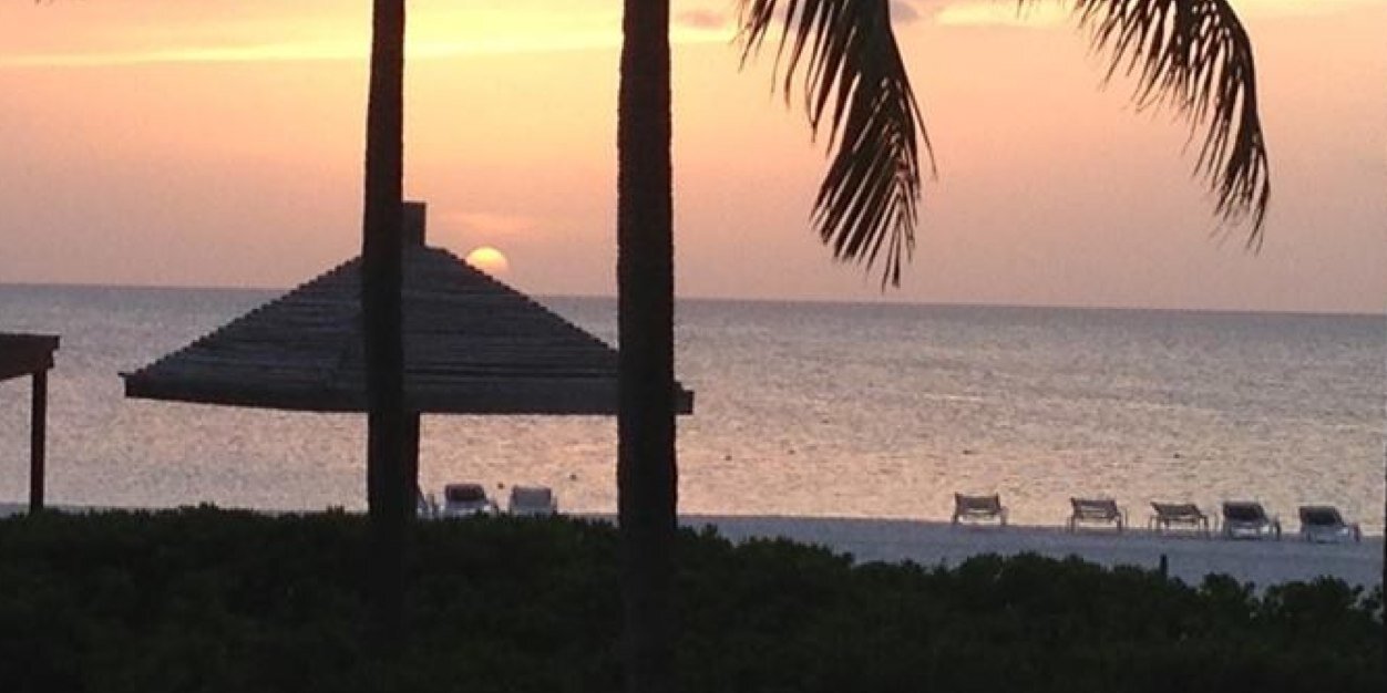 Lizard1203's profile banner image