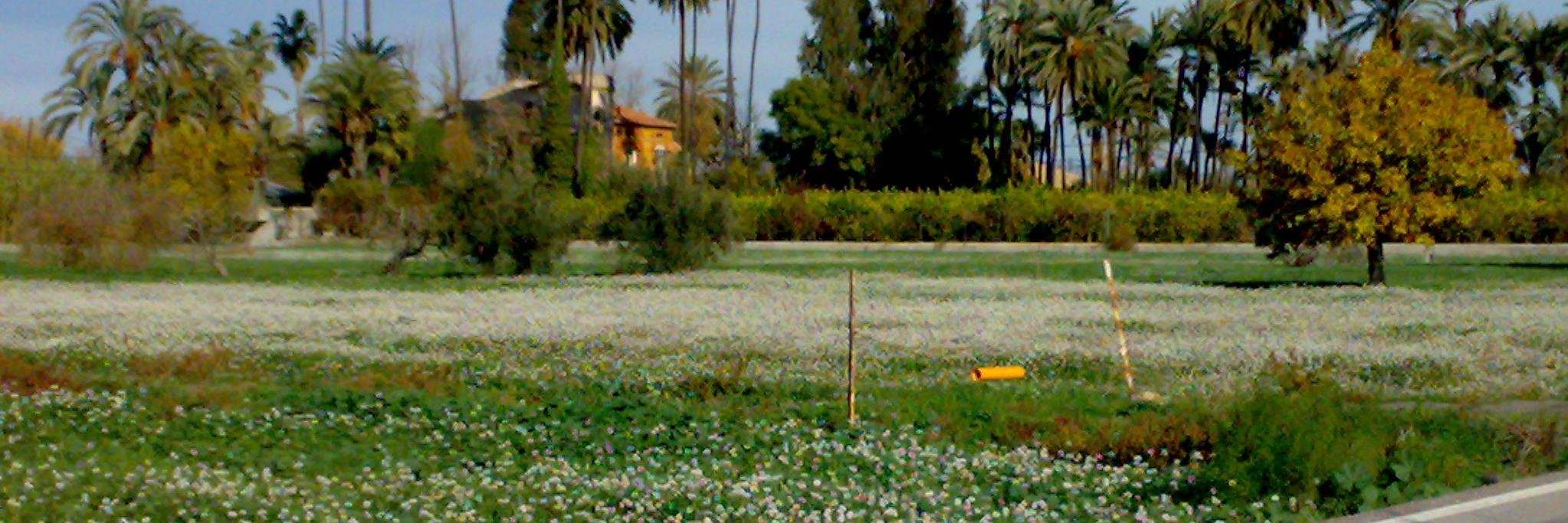 alonso gil lopez banner