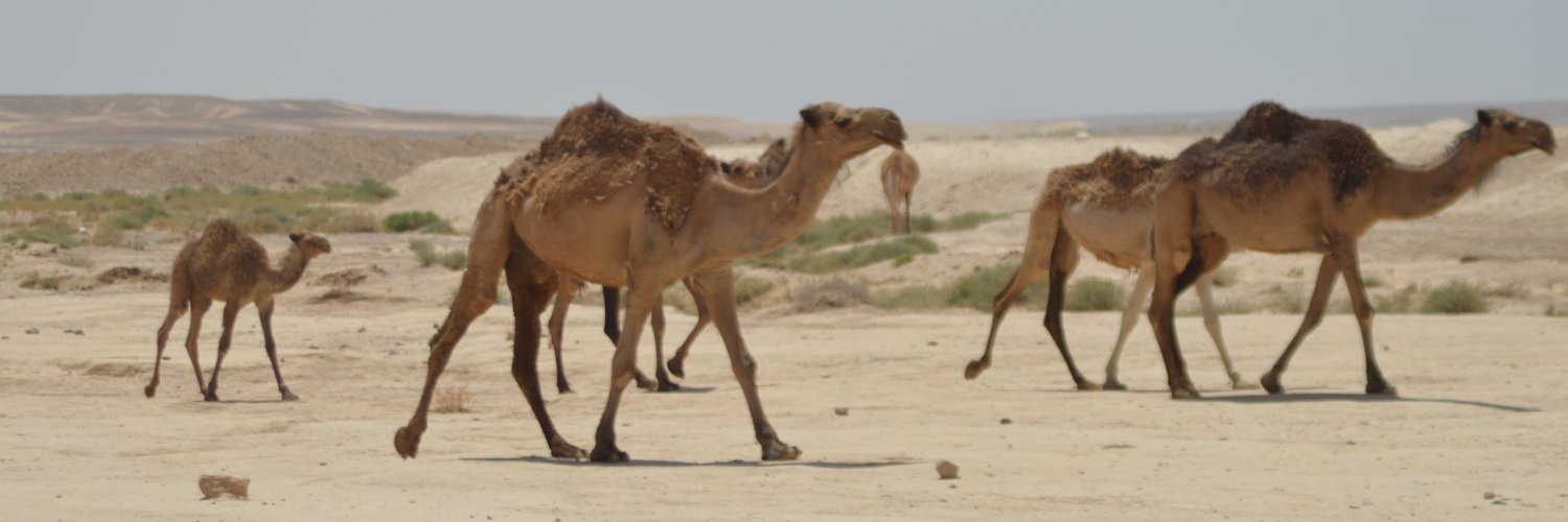 Dr. Danielle A. Macdonald banner