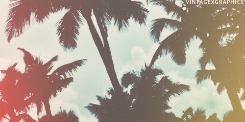 cxkefloat's profile banner image