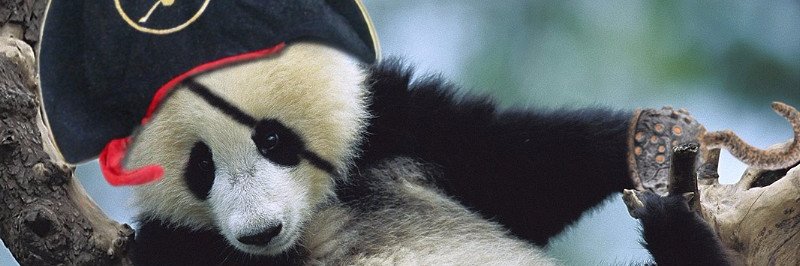 PandaPirate's profile banner image