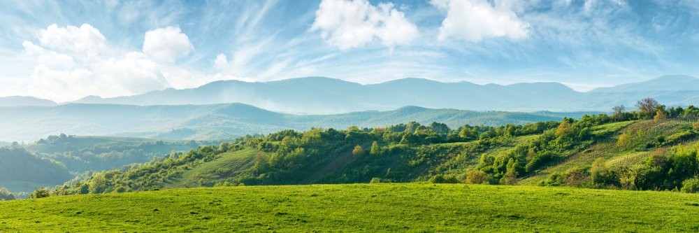 harisprahara's profile banner image