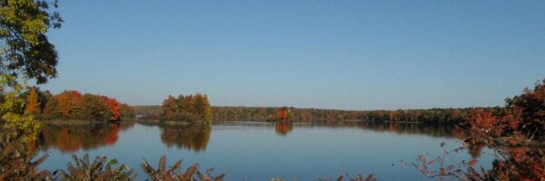 amydplummer Profile Banner