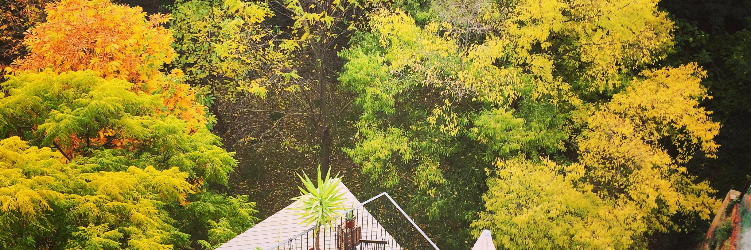 Hotel Lotus Priorat banner