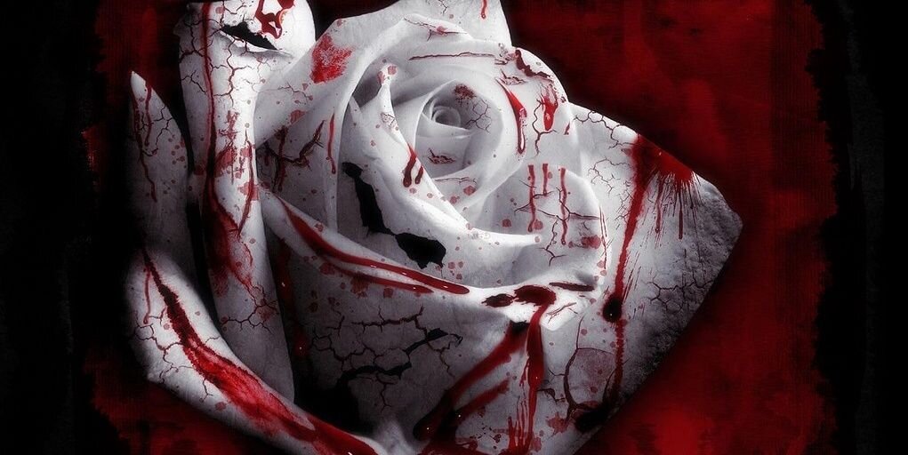 PastTheThorns's profile banner image