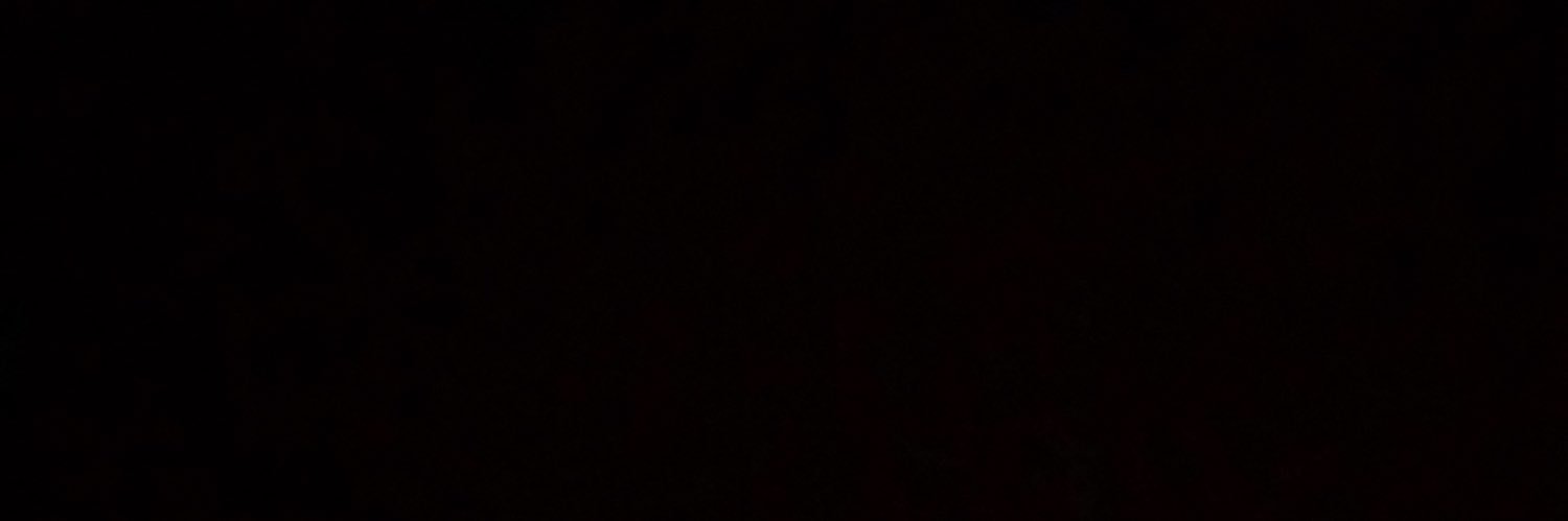 flickervictoria's profile banner image
