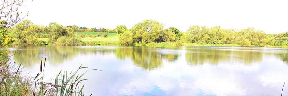 Ripley & Heanor News banner