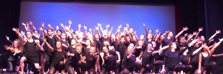 Bishopshalt Dance banner