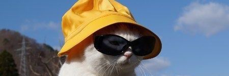 sunwithocean's profile banner image