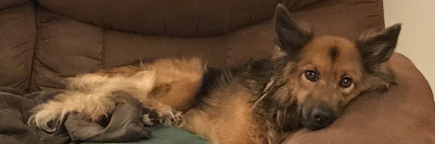 fountainal's profile banner image