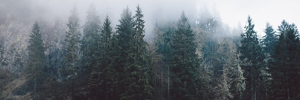 Persee is ~queerying~ 🧌 banner