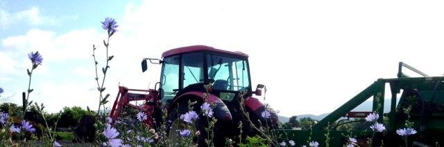 bbearcomposting's profile banner image