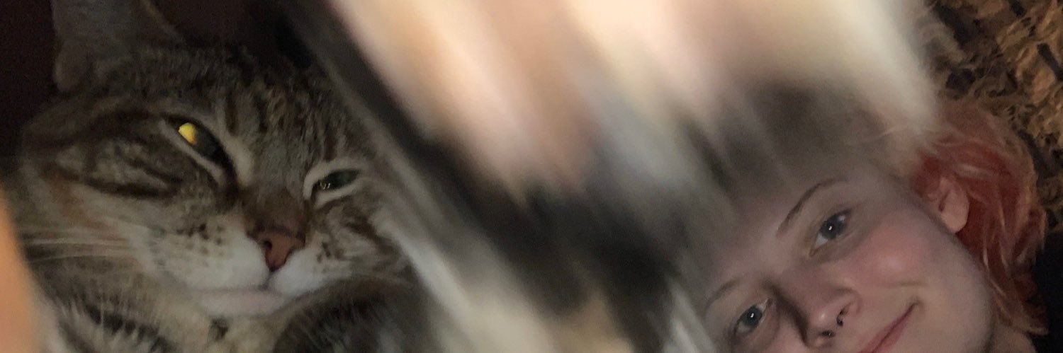 westbrockly's profile banner image