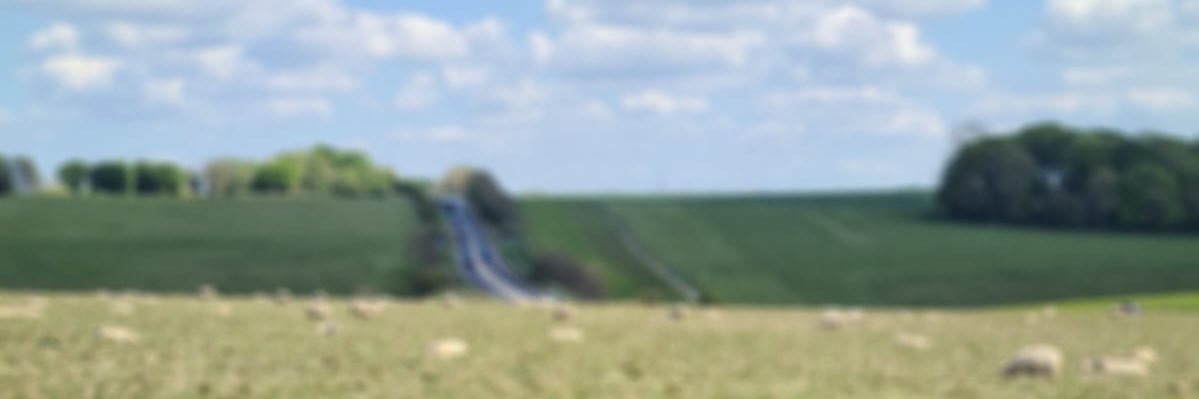 Shomos9's profile banner image